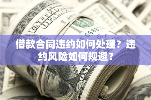 济南借款合同违约如何处理？违约风险如何规避？