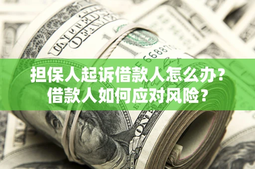 济南担保人起诉借款人怎么办？借款人如何应对风险？