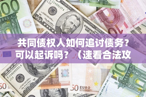 济南共同债权人如何追讨债务？可以起诉吗？（速看合法攻略）